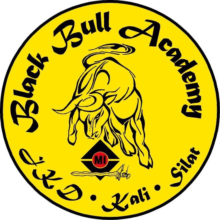 Black Bull Academy